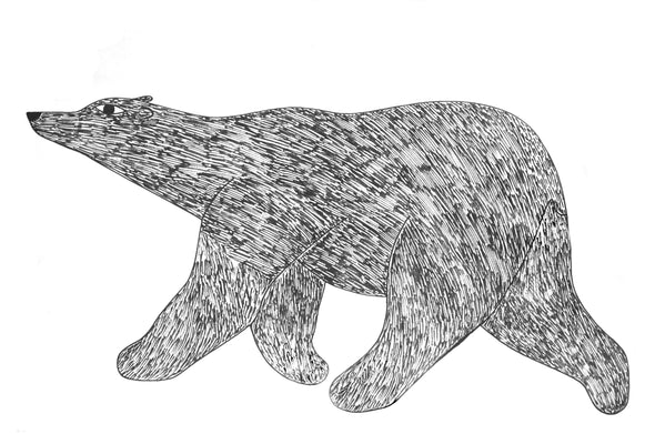 Bear- Original pencil drawing .